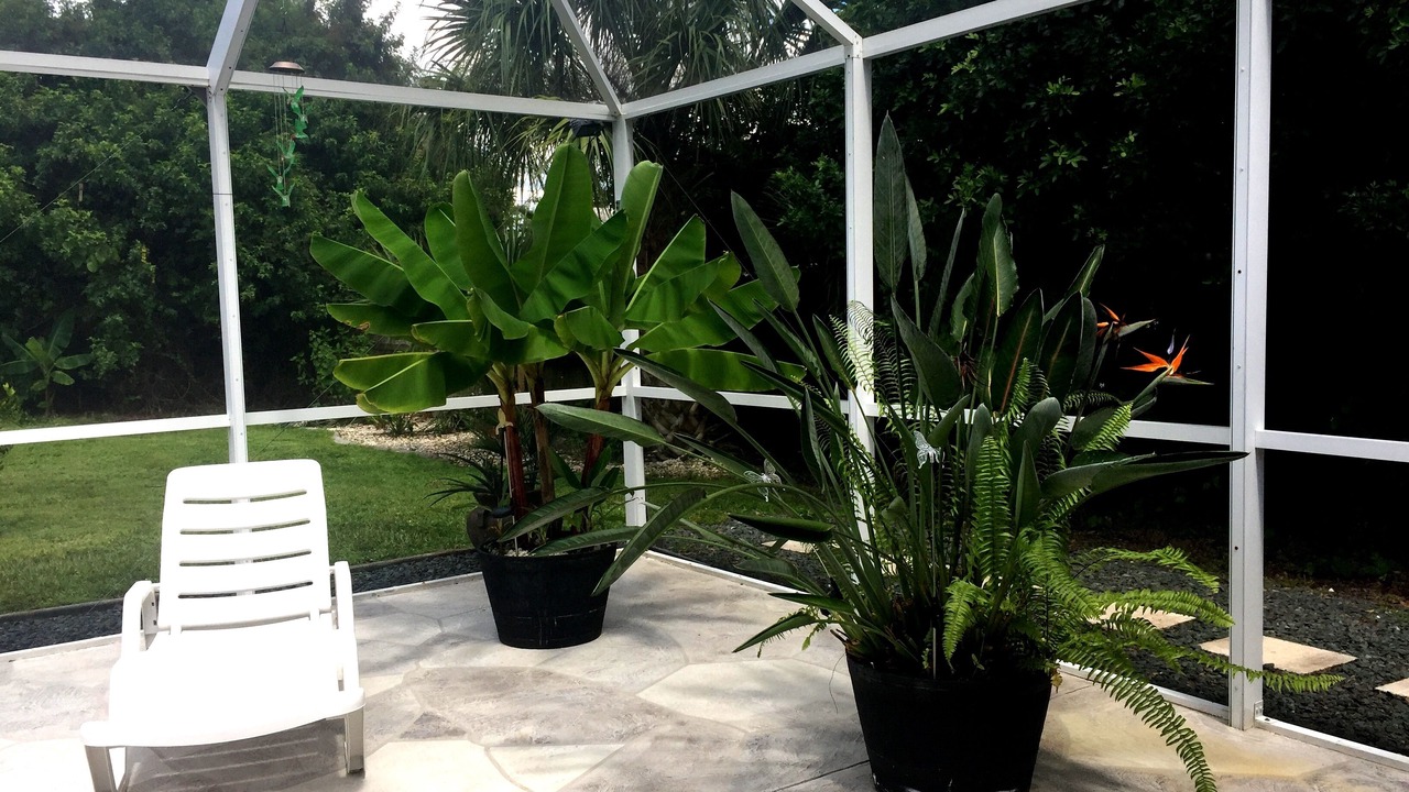 Photo of Patio Balcony in Port Charlotte