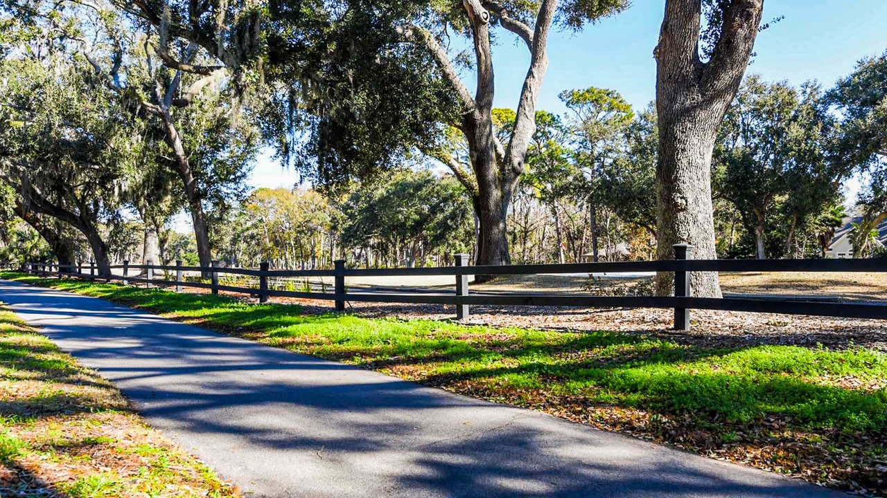 Photo of Outdoor in Folly Field
