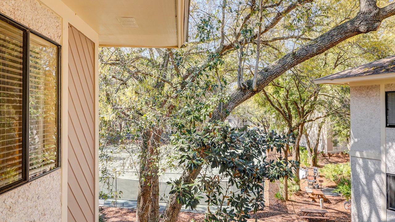 Photo of Outdoor in Folly Field