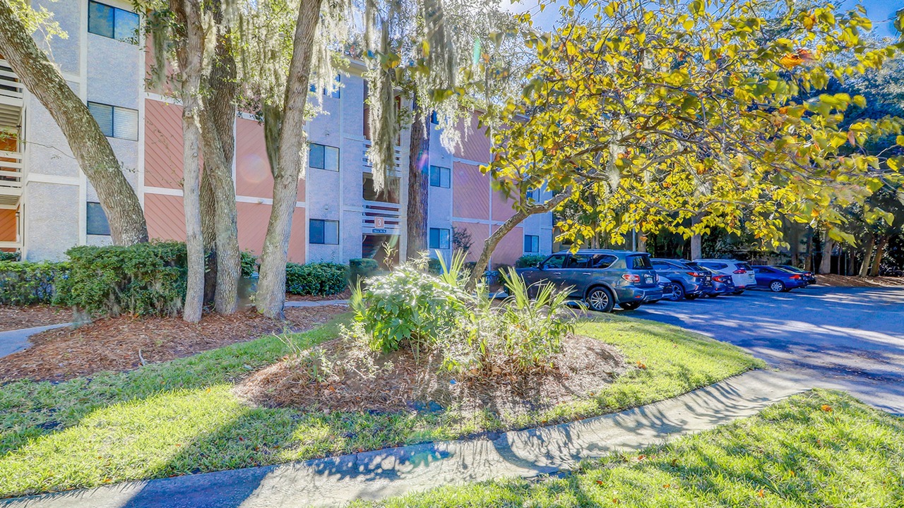 Photo of Outdoor in Folly Field
