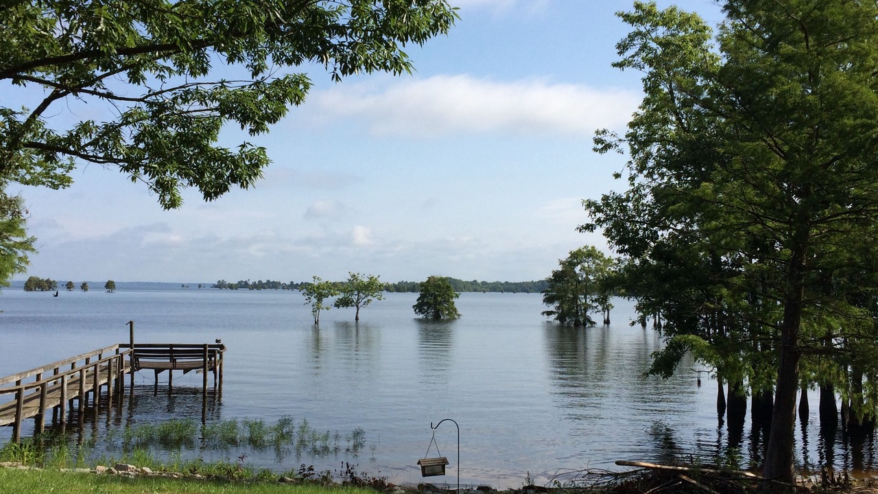 Photo of Outdoor in Eutawville
