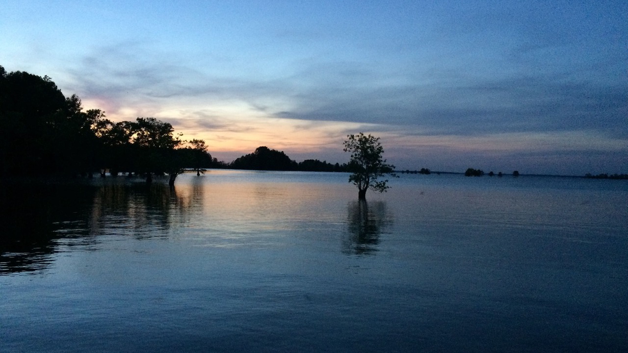 Photo of Outdoor in Eutawville