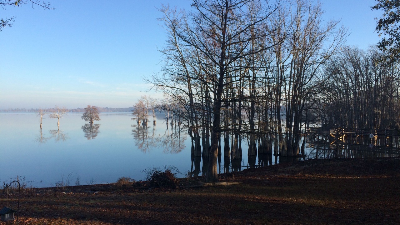 Photo of Others in Eutawville