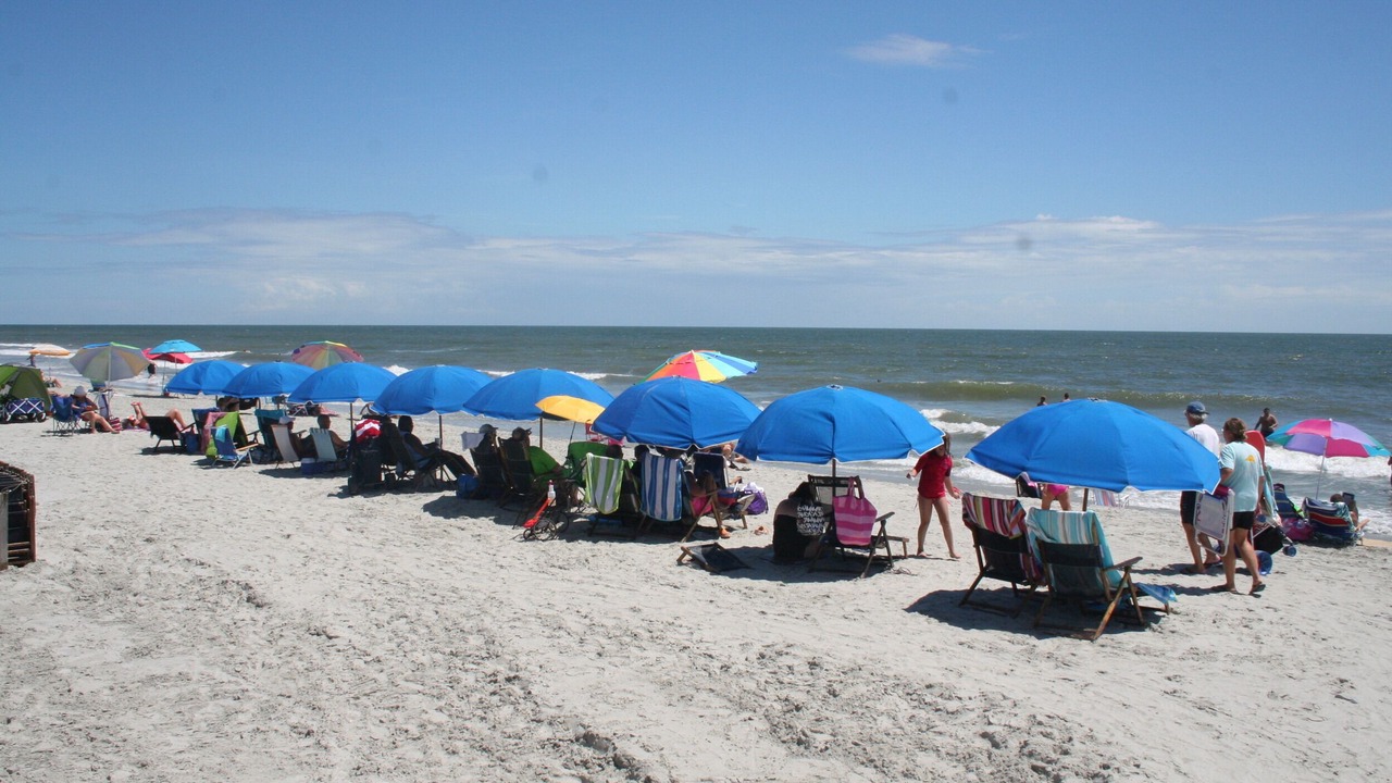 Photo of Others in Hilton Head Island