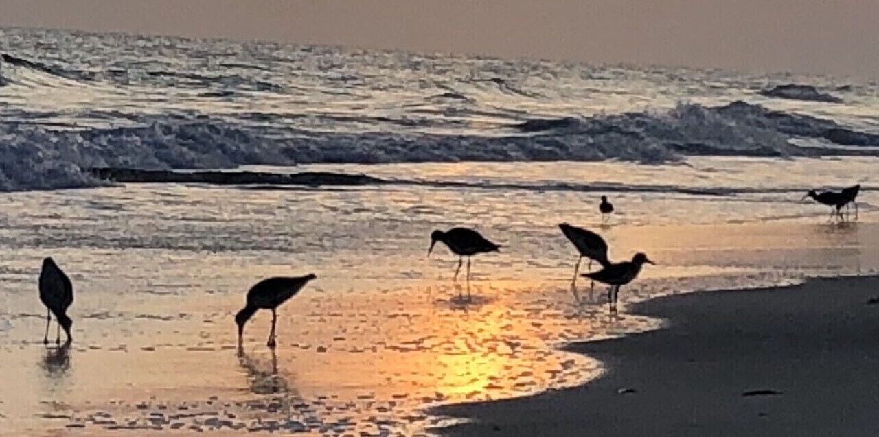 Photo of Others in Whitney Beach