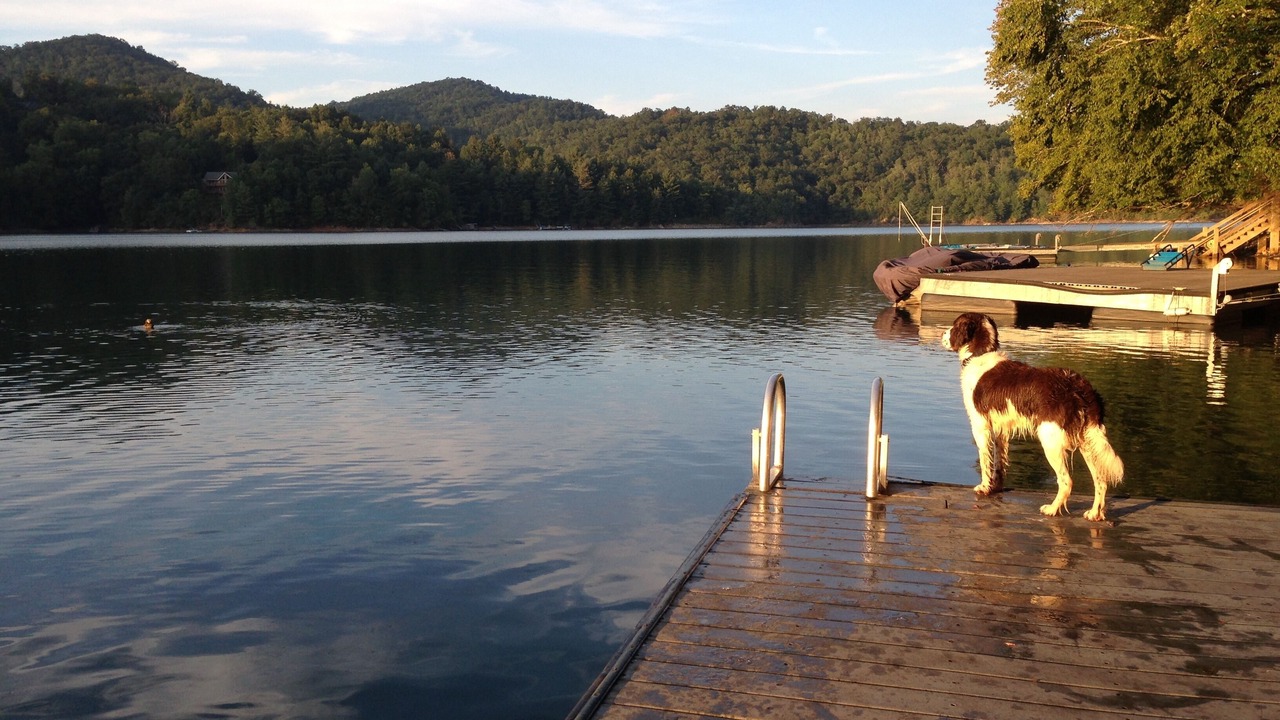 Photo of Outdoor in Topton