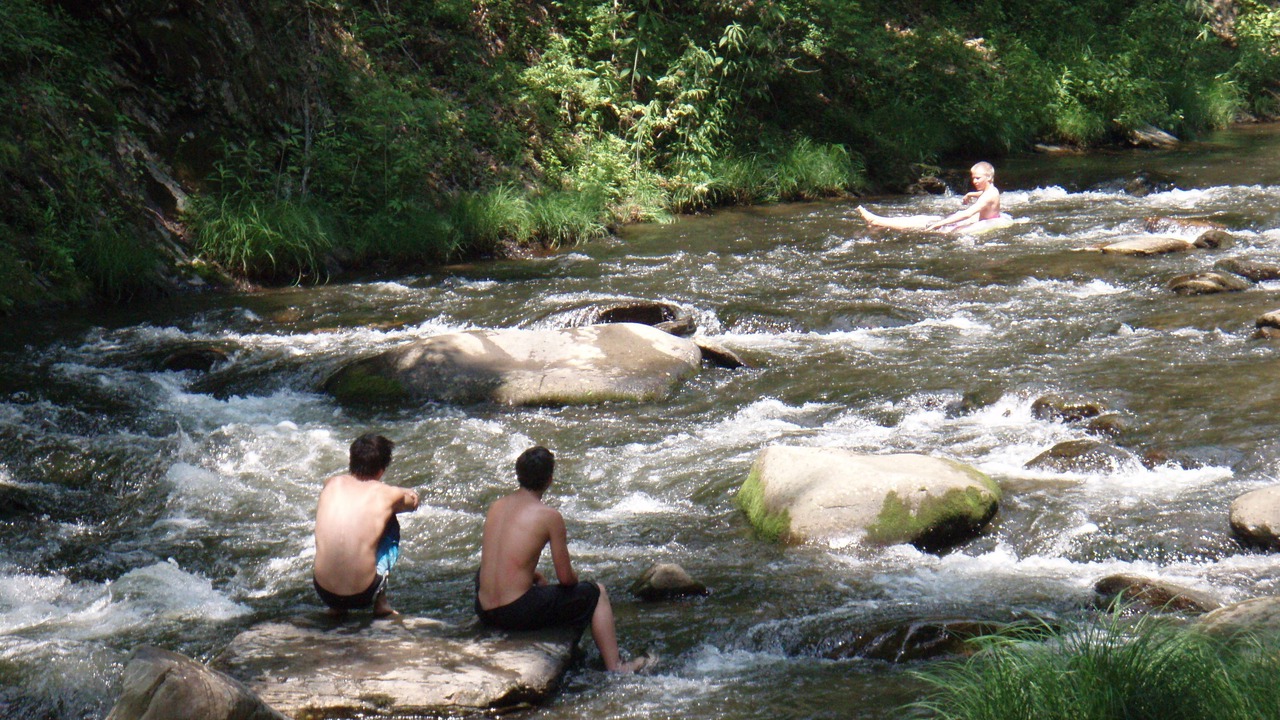 Photo of Others in Topton
