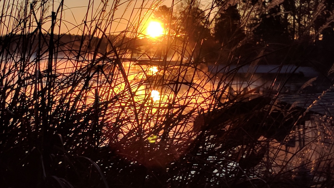 Photo of Outdoor in Seneca
