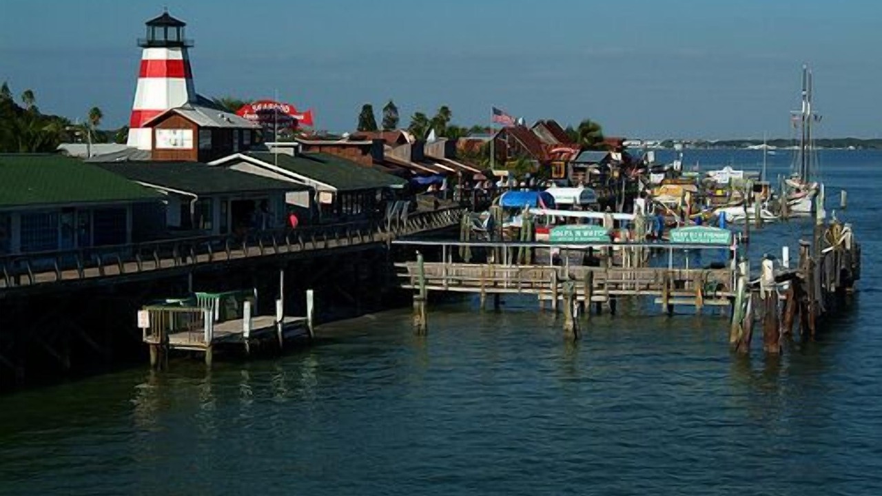 Photo of Others in Treasure Island