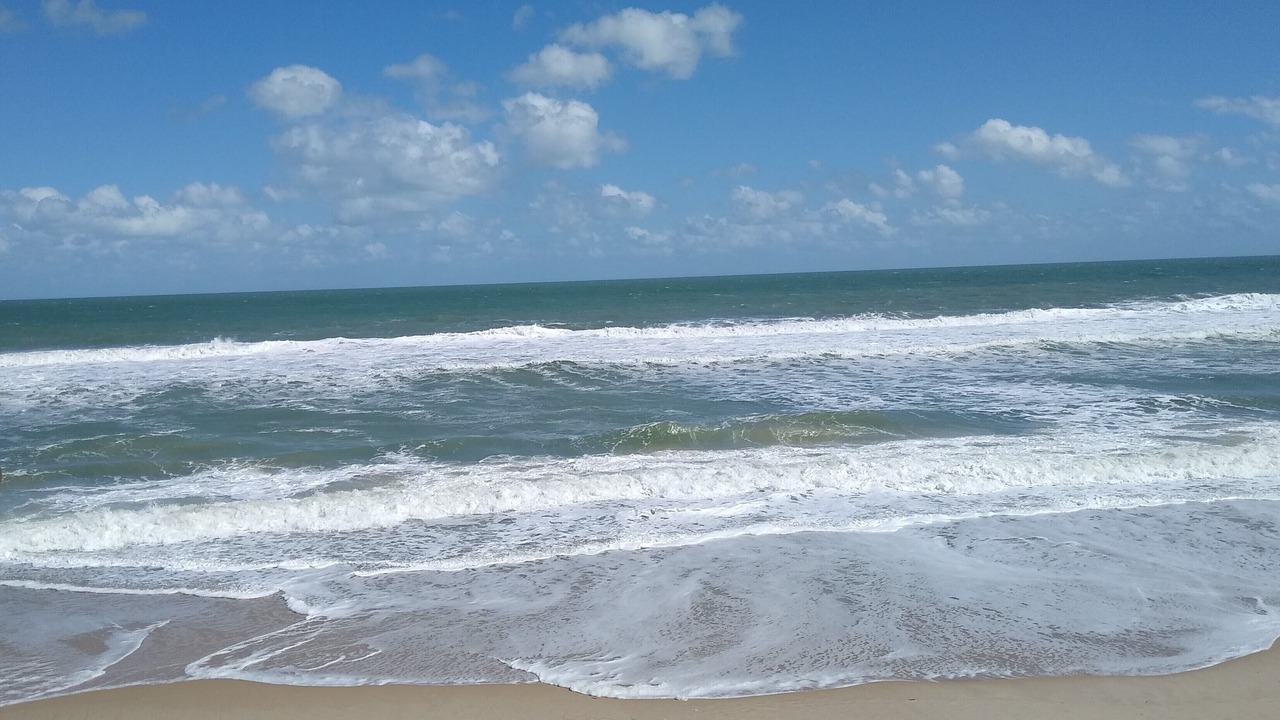Photo of Others in Melbourne Beach