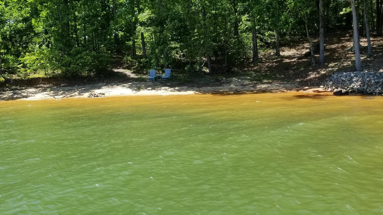 Photo of Outdoor in Lavonia