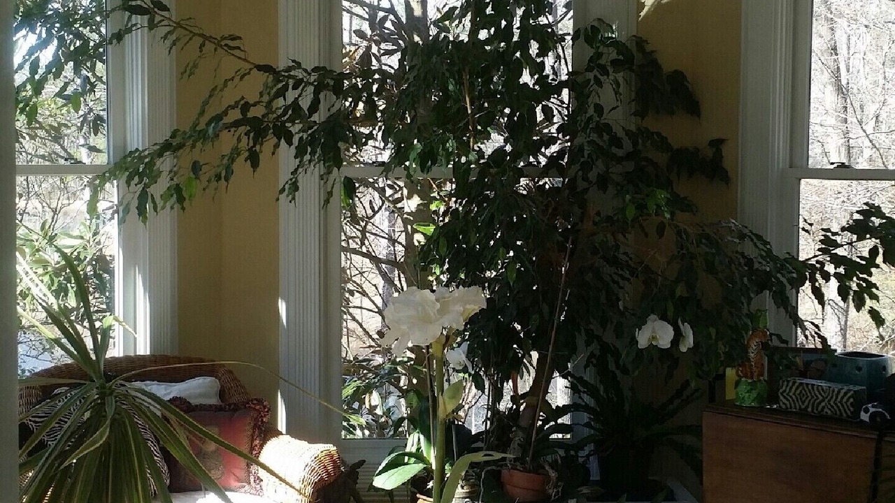 Photo of Bedroom in Trenton