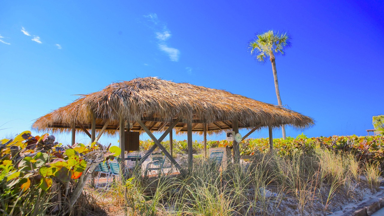 Photo of Outdoor in Whitney Beach