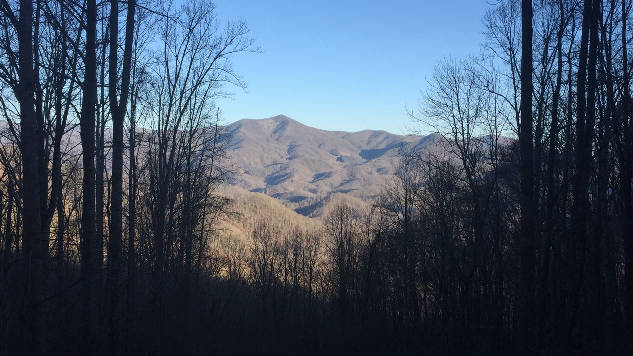 Photo of Outdoor in Sylva