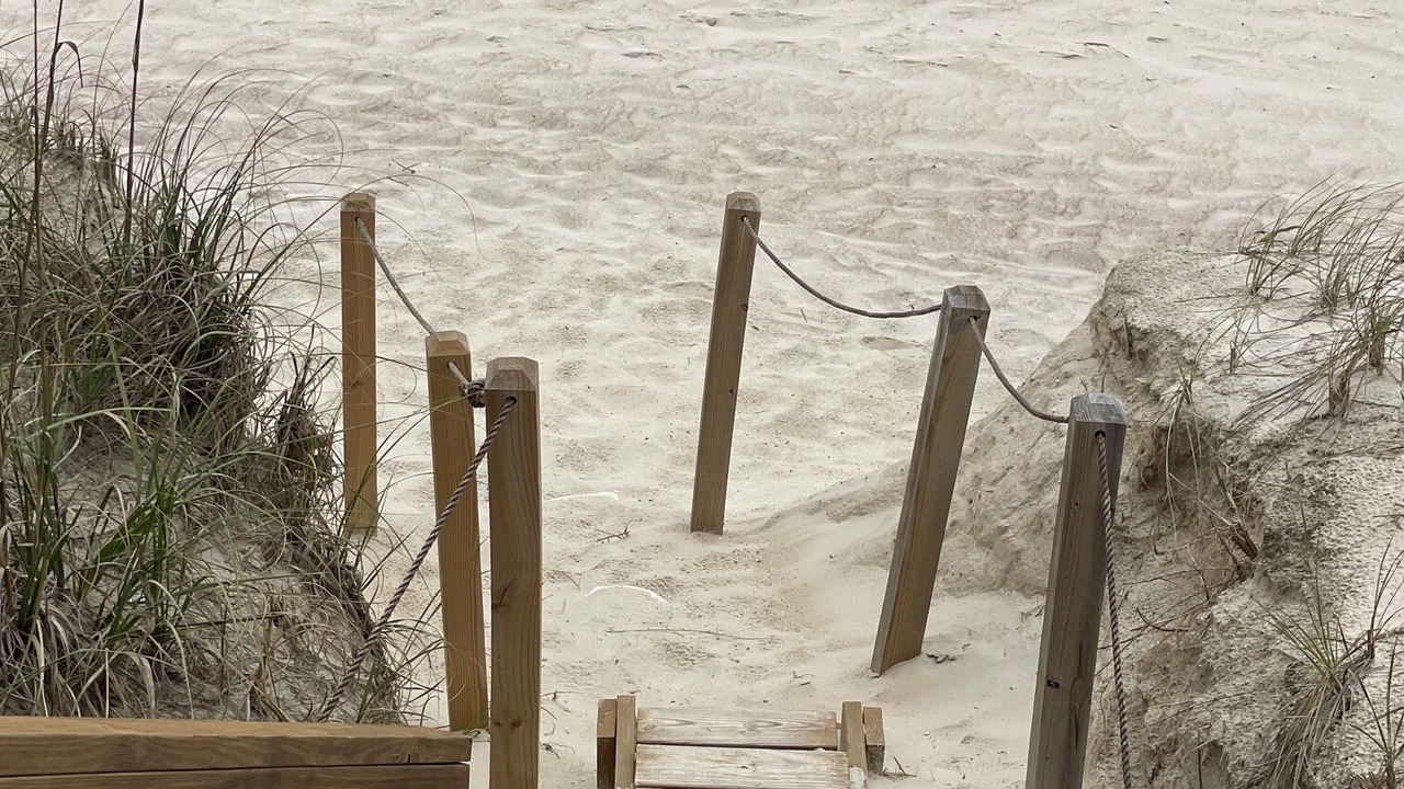 Photo of Others in Surf City