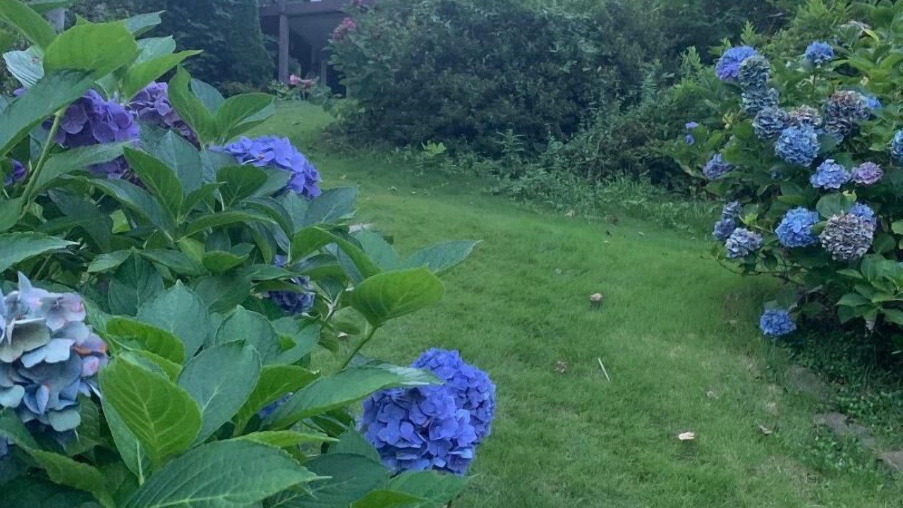 Photo of Outdoor in Salem