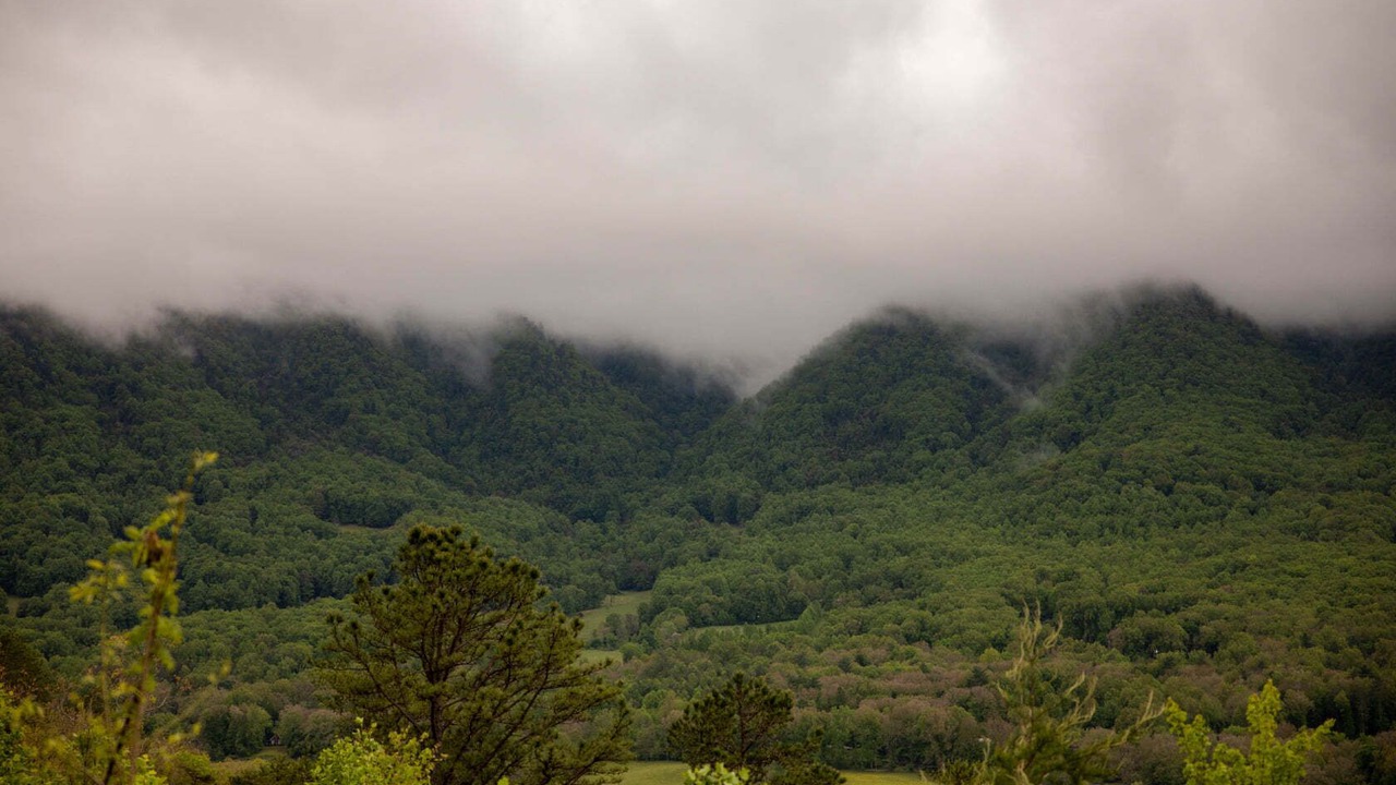 Photo of Others in Townsend