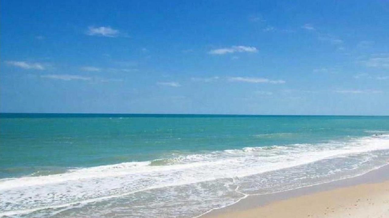 Photo of Others in Wabasso Beach