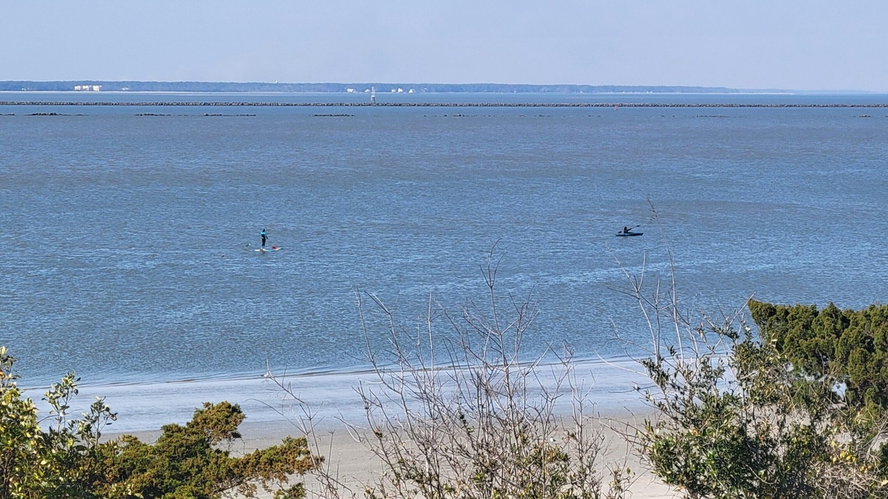 Photo of Others in Tybee Island
