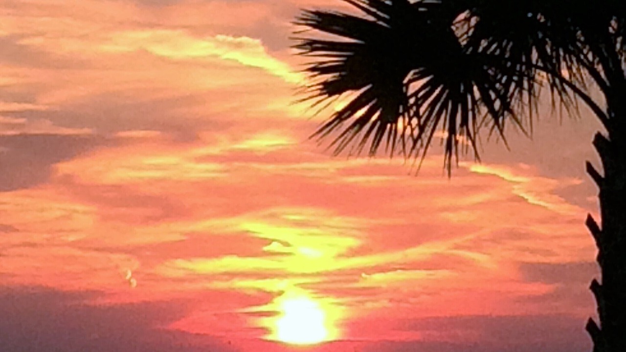 Photo of Others in Bradenton