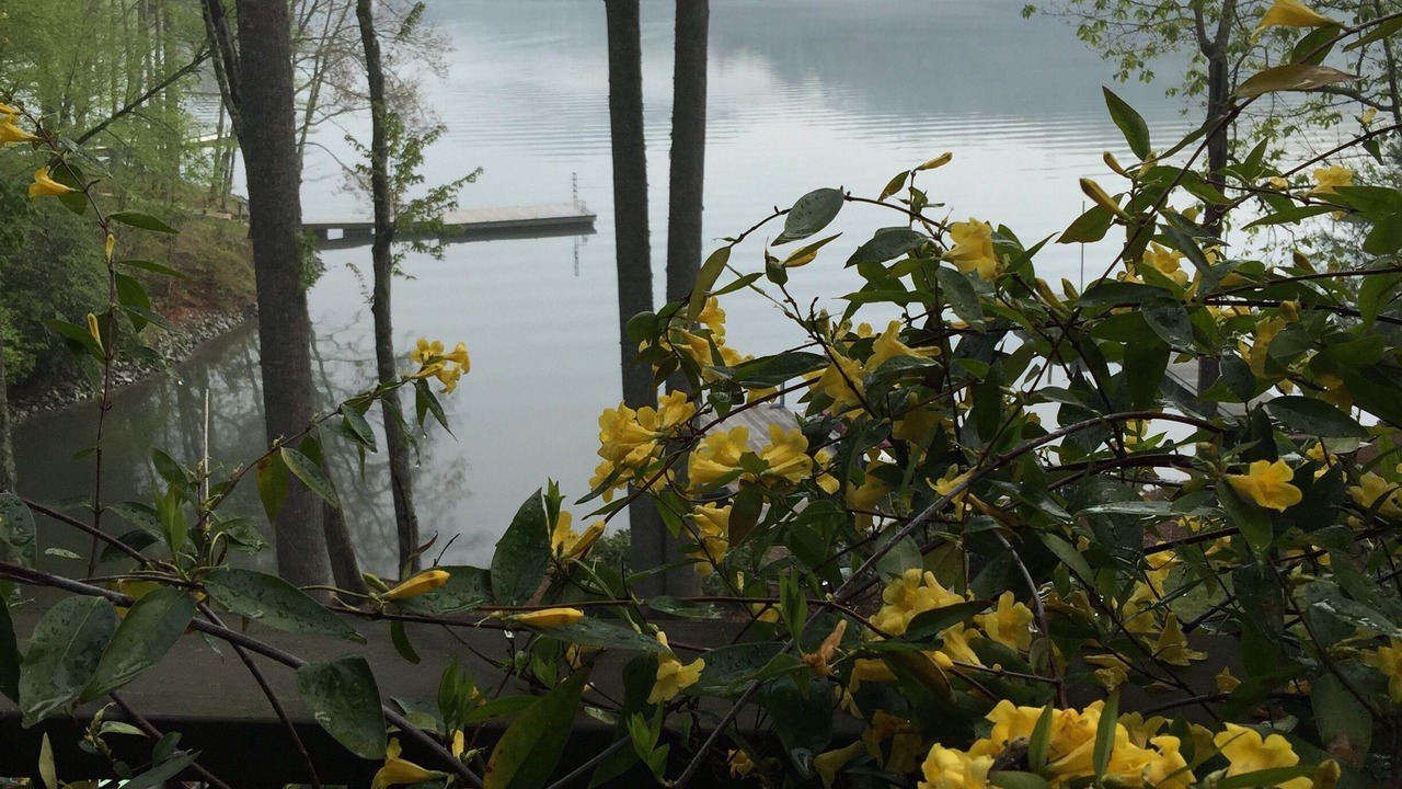 Photo of Outdoor in Cashiers
