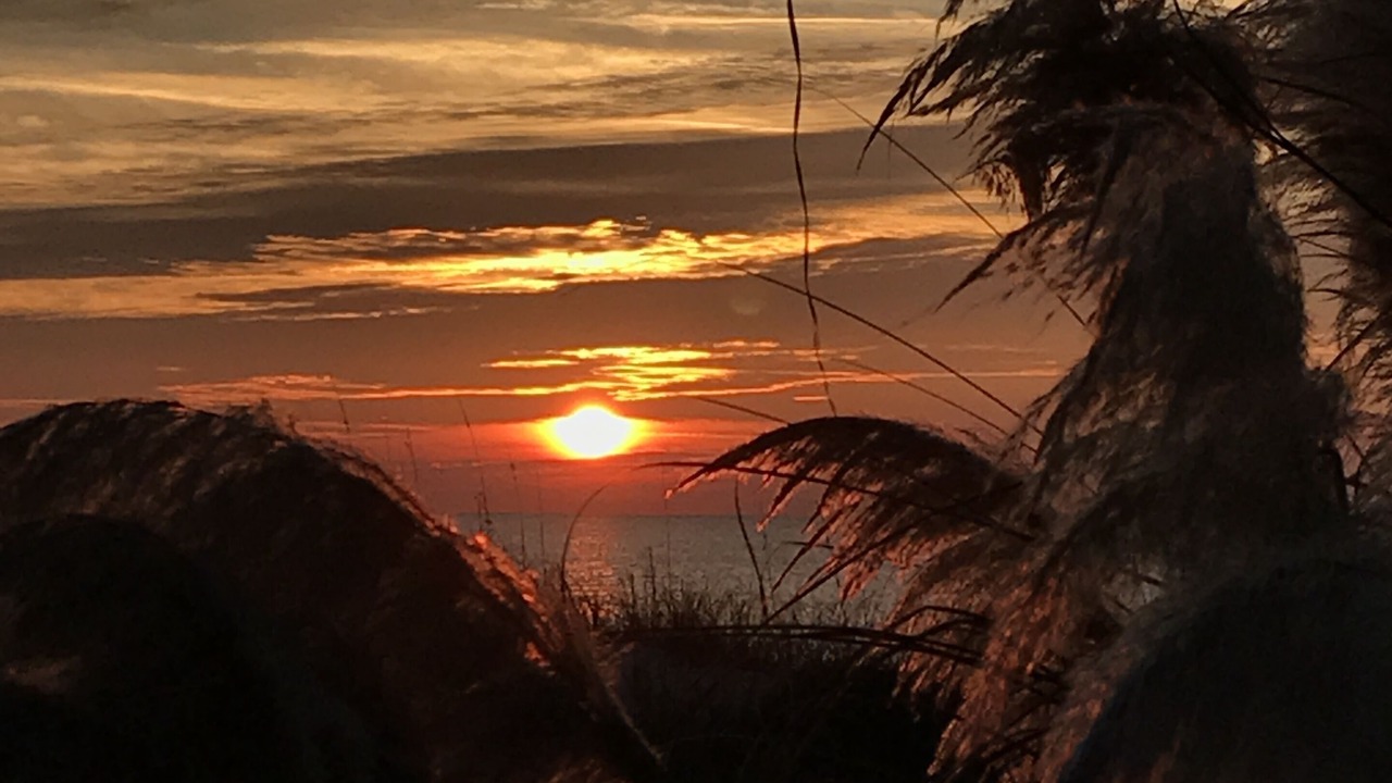 Photo of Others in North Forest Beach