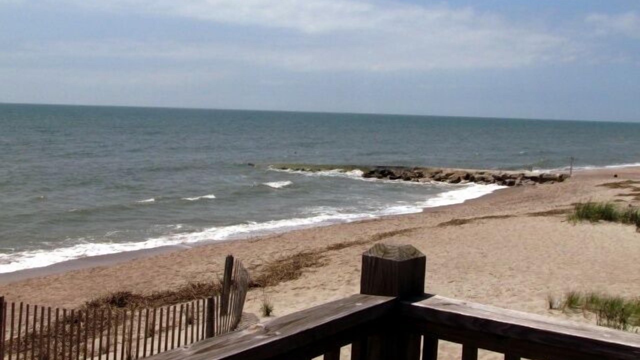 Photo of Outdoor in Edisto Island