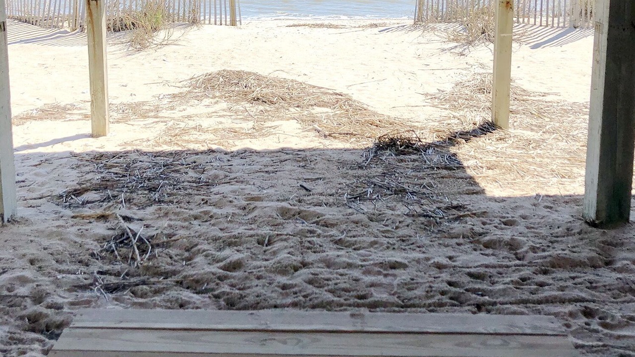Photo of Others in Edisto Island