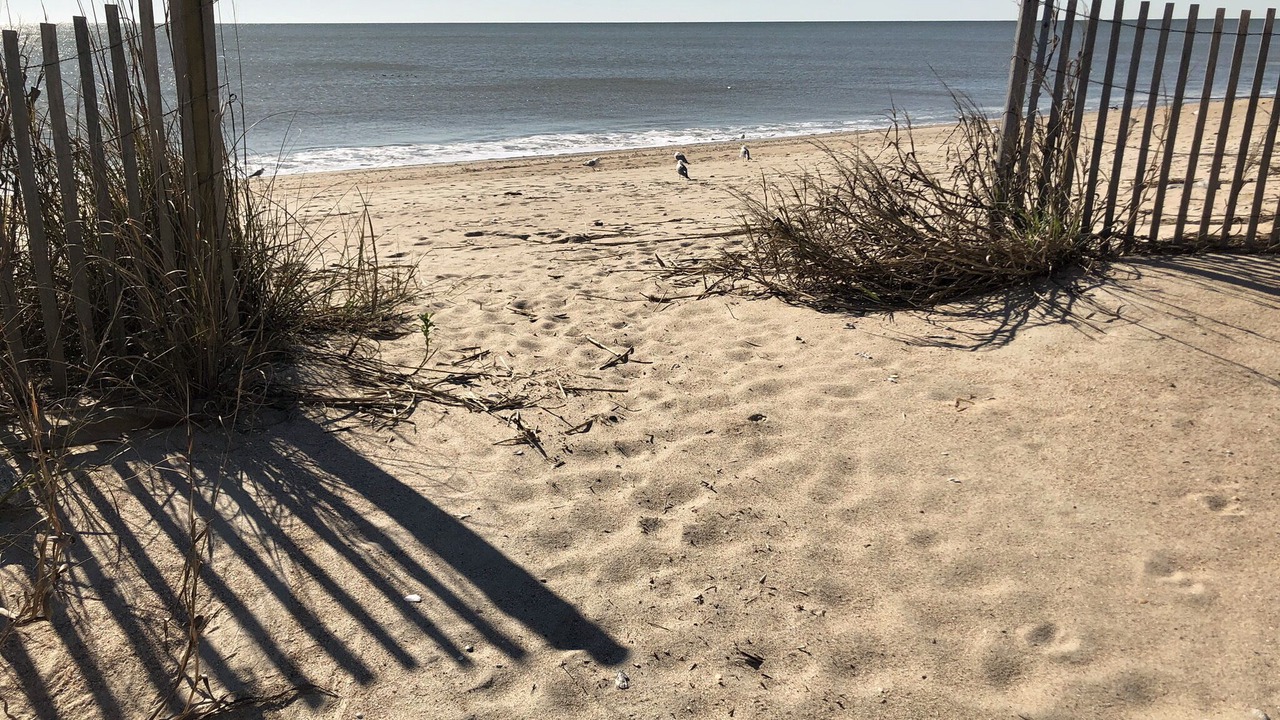 Photo of Others in Edisto Island