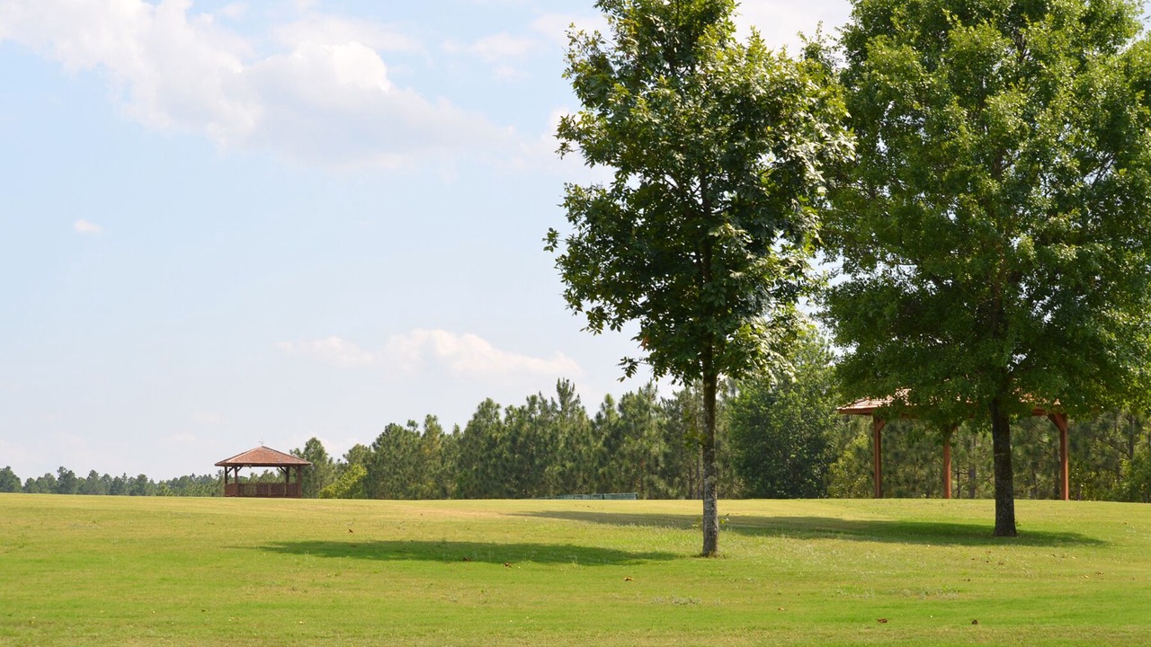 Photo of Outdoor in Aiken