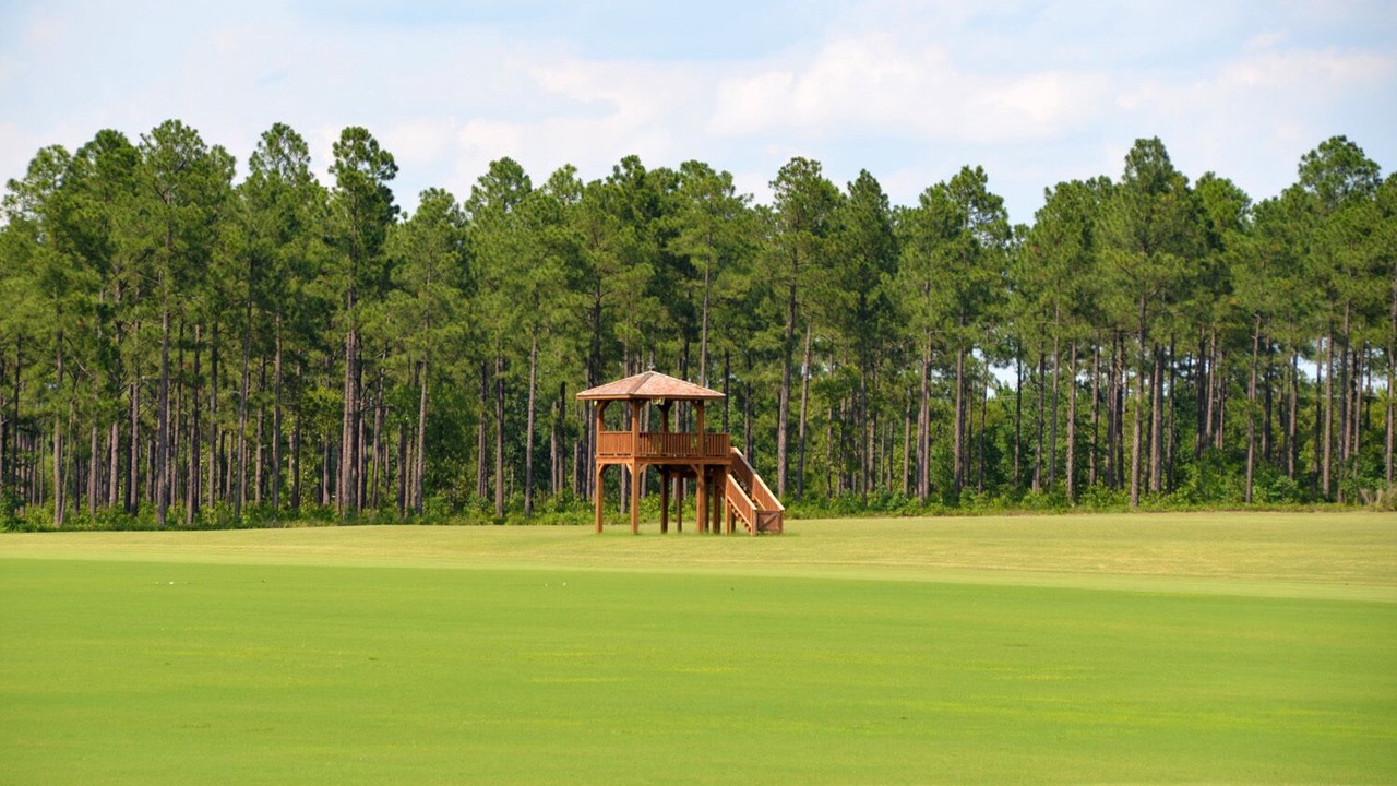 Photo of Others in Aiken