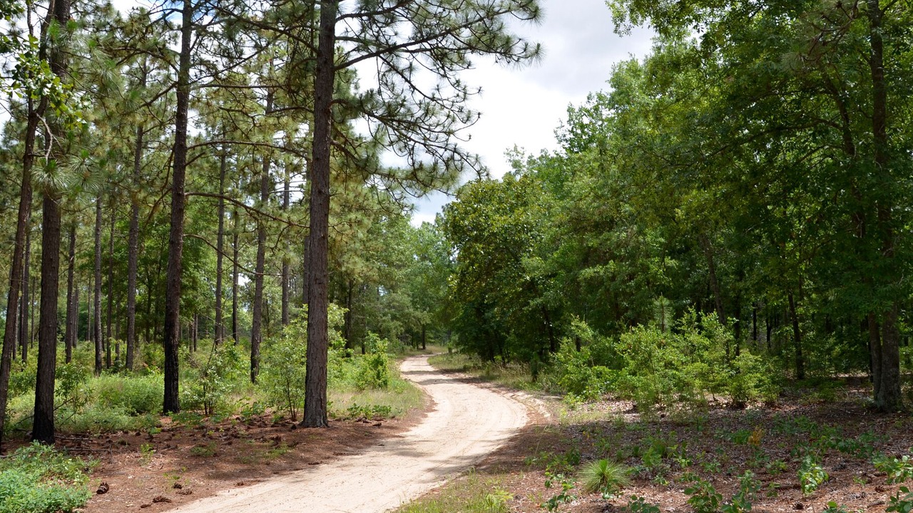 Photo of Outdoor in Aiken