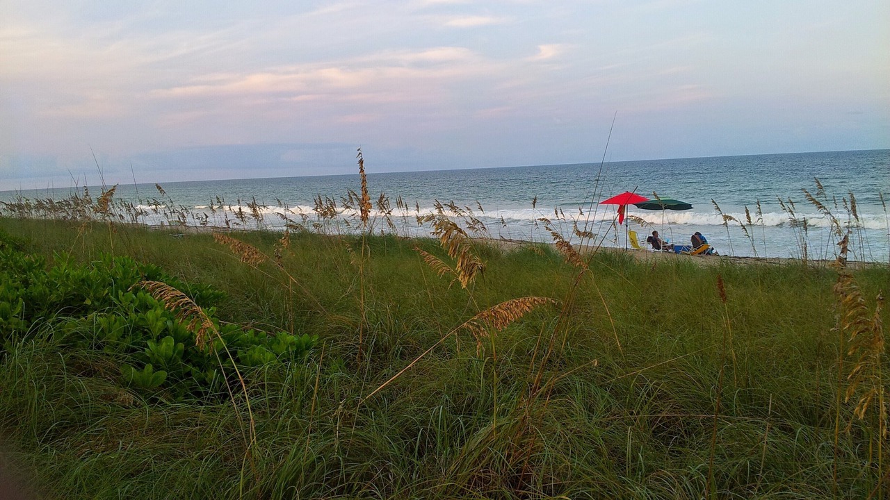 Photo of Outdoor in Hutchinson Island South