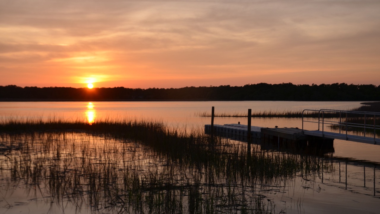 Photo of Others in Edisto Island