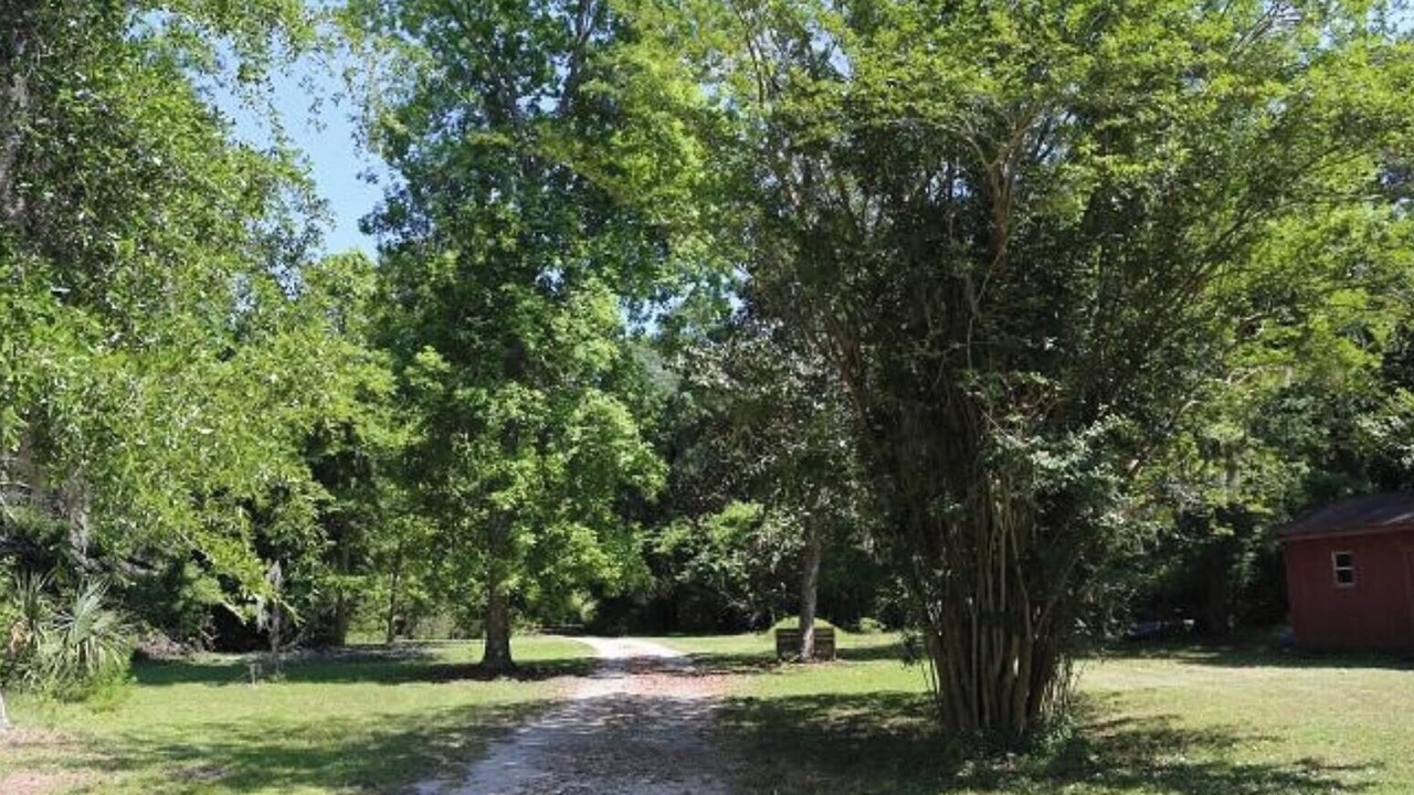 Photo of Outdoor in Edisto Island