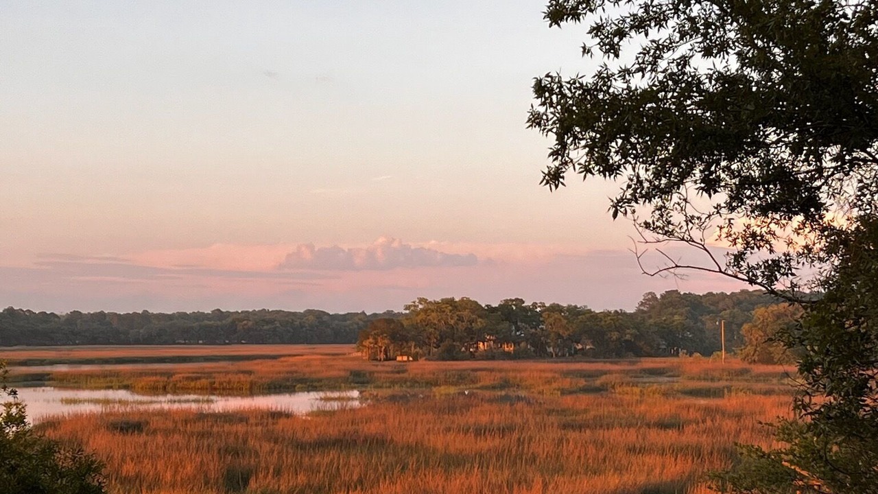 Photo of Others in Edisto Island