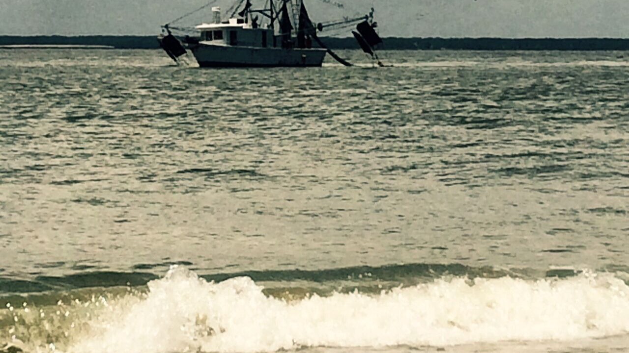Photo of Others in Tybee Island