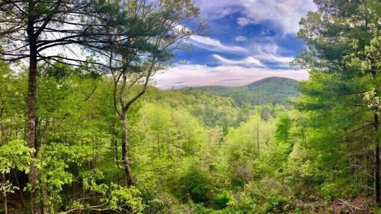 Photo of Outdoor in Highlands