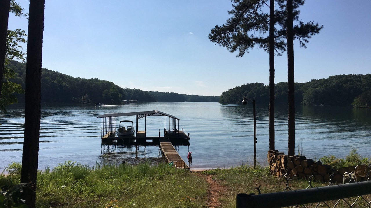 Photo of Others in Martin