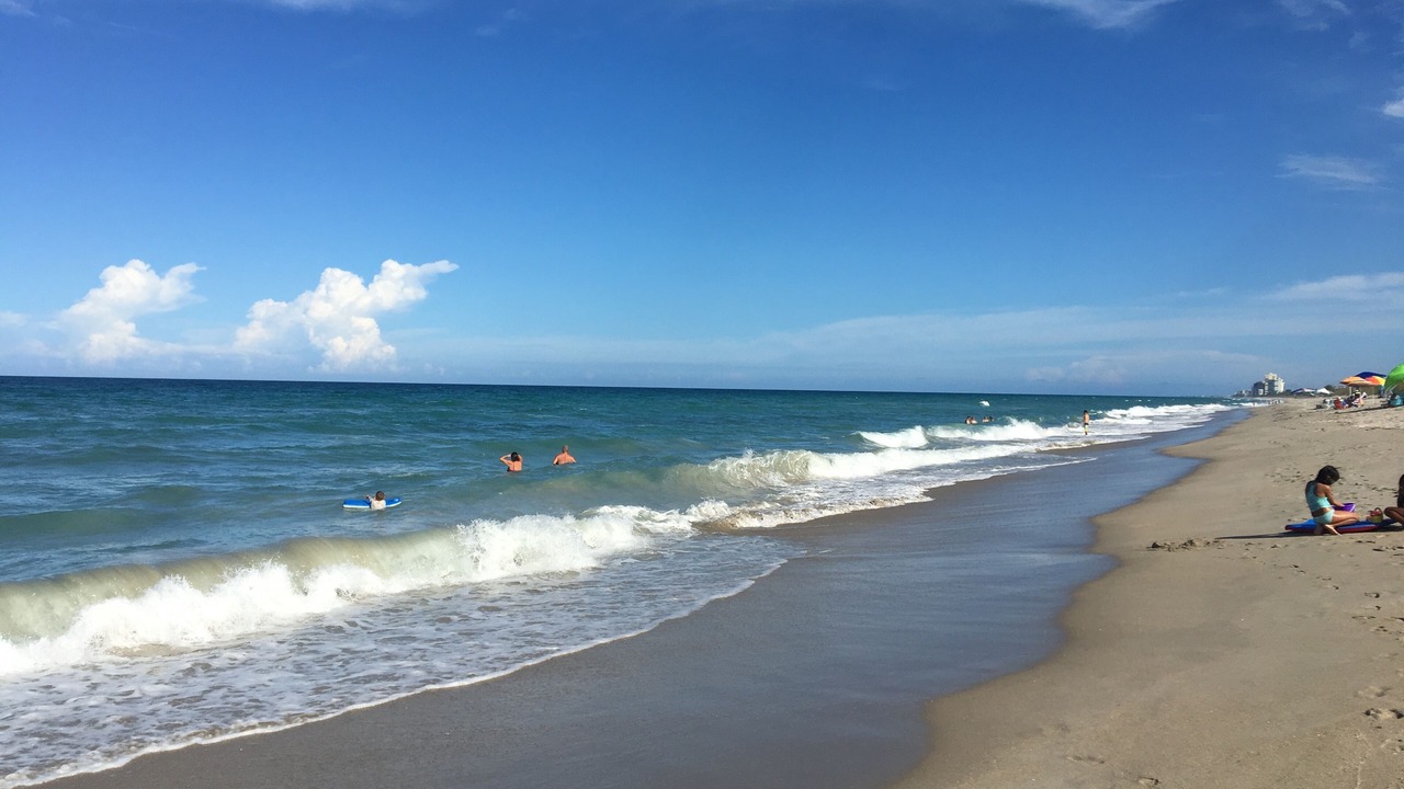 Photo of Others in Hutchinson Island South