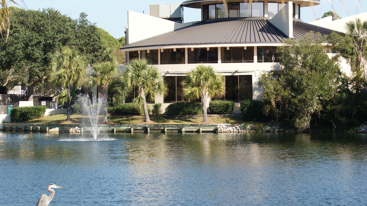 Photo of Outdoor in Folly Field