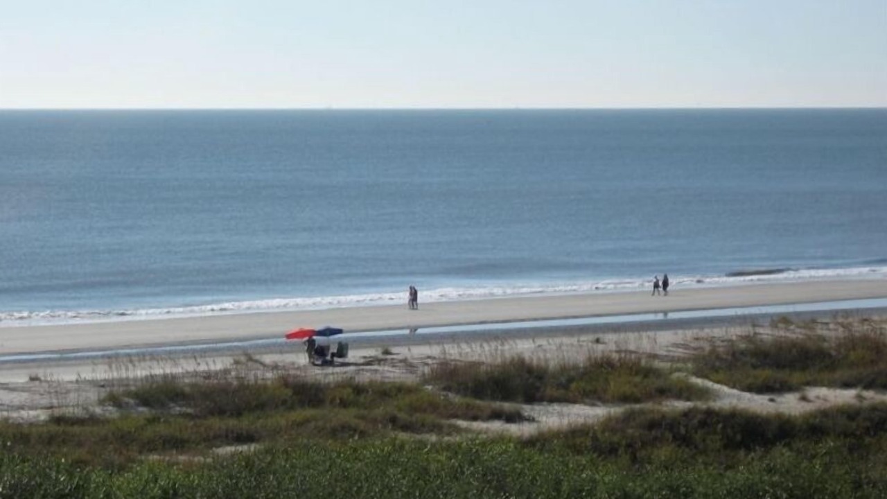 Photo of Others in Folly Field
