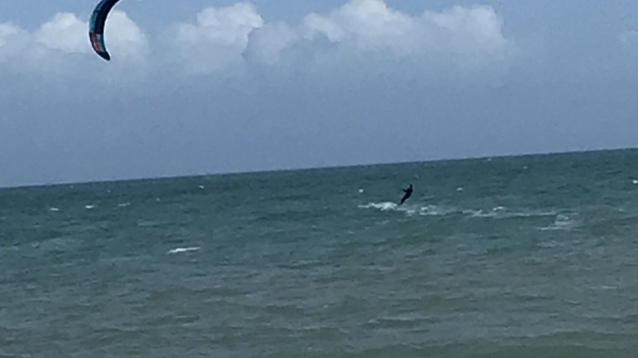 Photo of Others in Central Beach