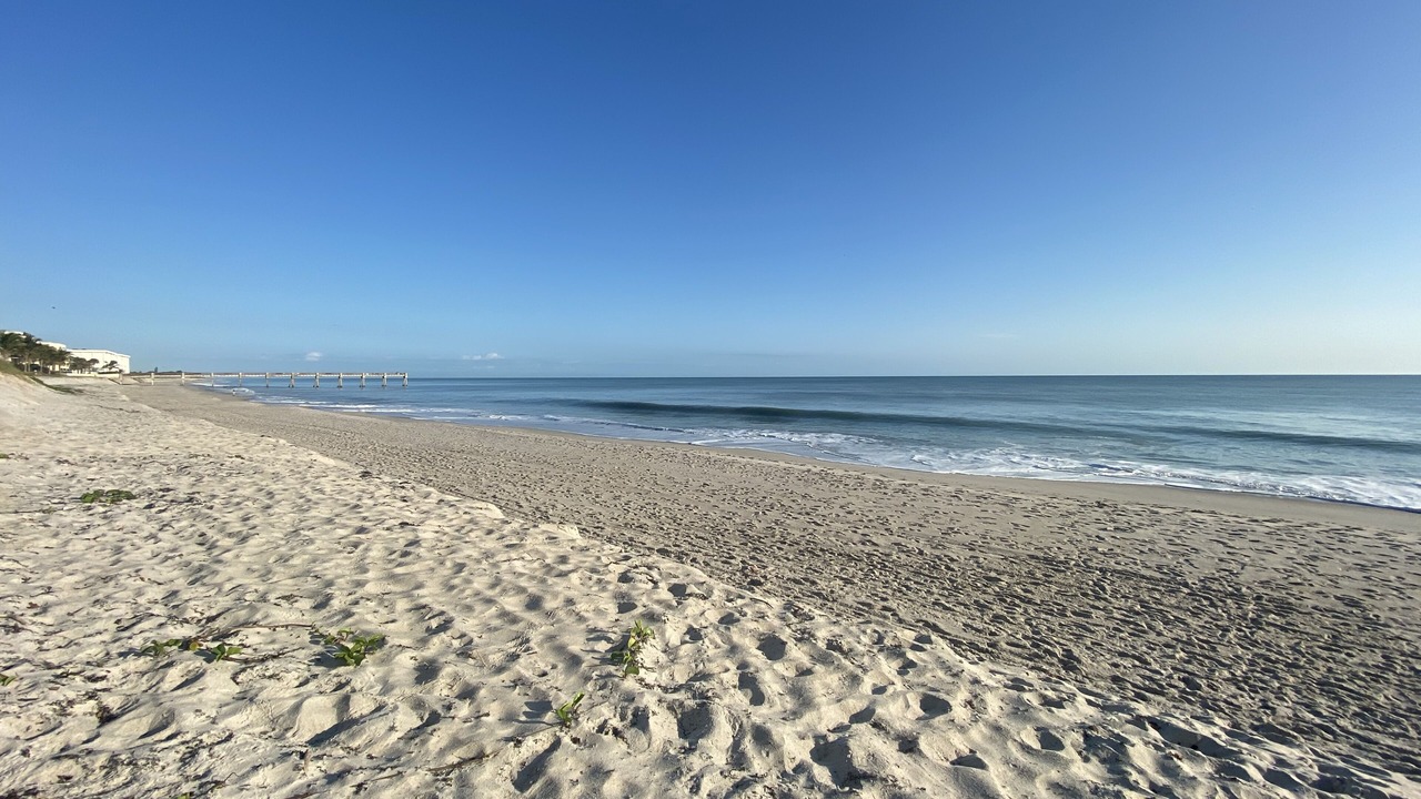 Photo of Others in Central Beach