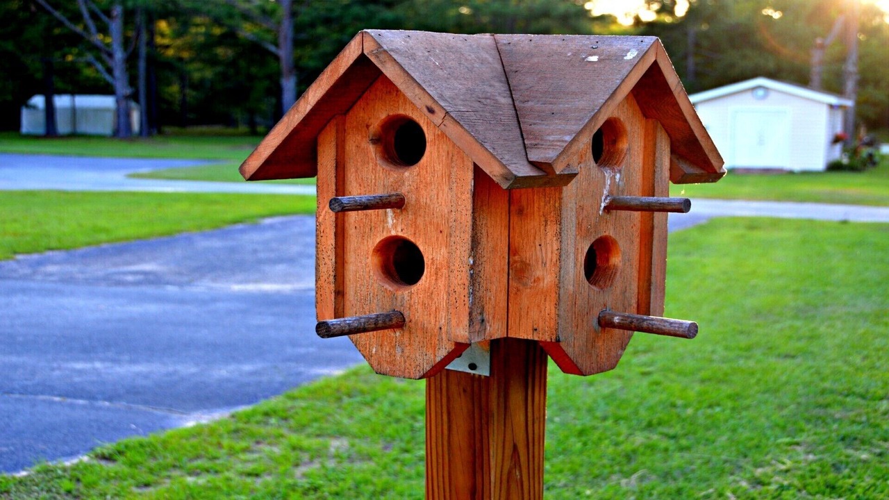 Photo of Outdoor in Aiken