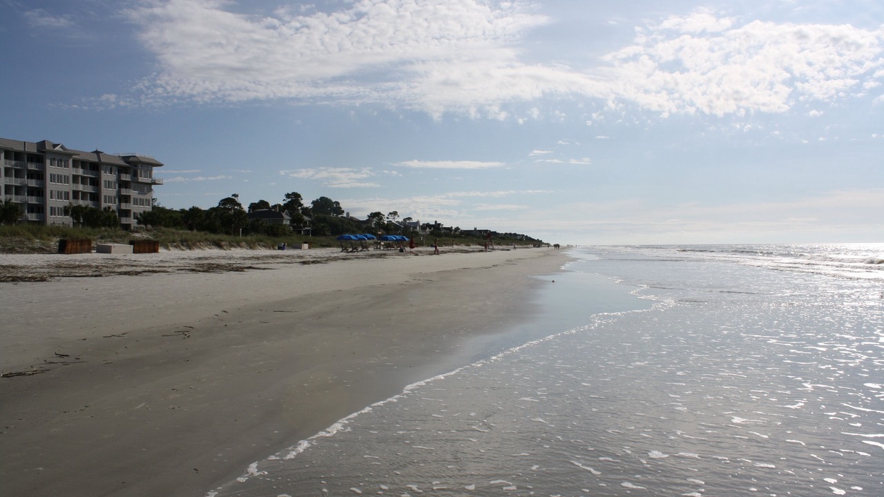 Photo of Others in North Forest Beach