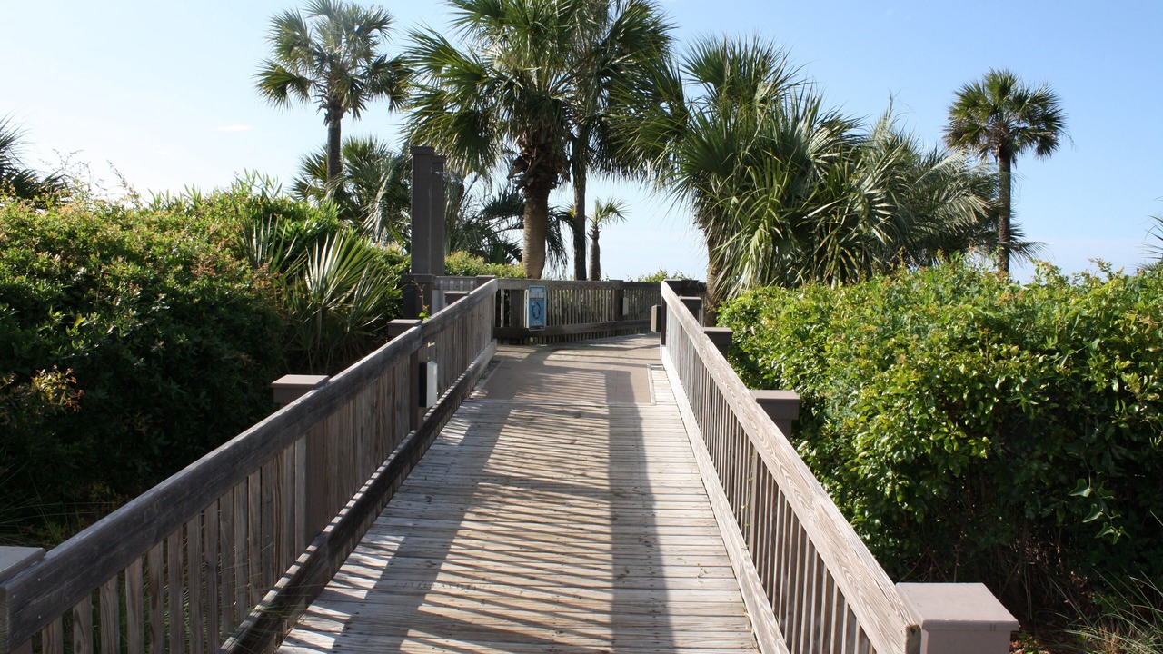 Photo of Others in North Forest Beach