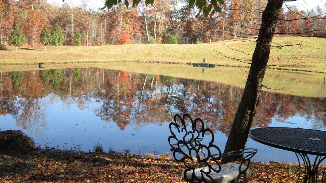 Photo of Outdoor in Lula