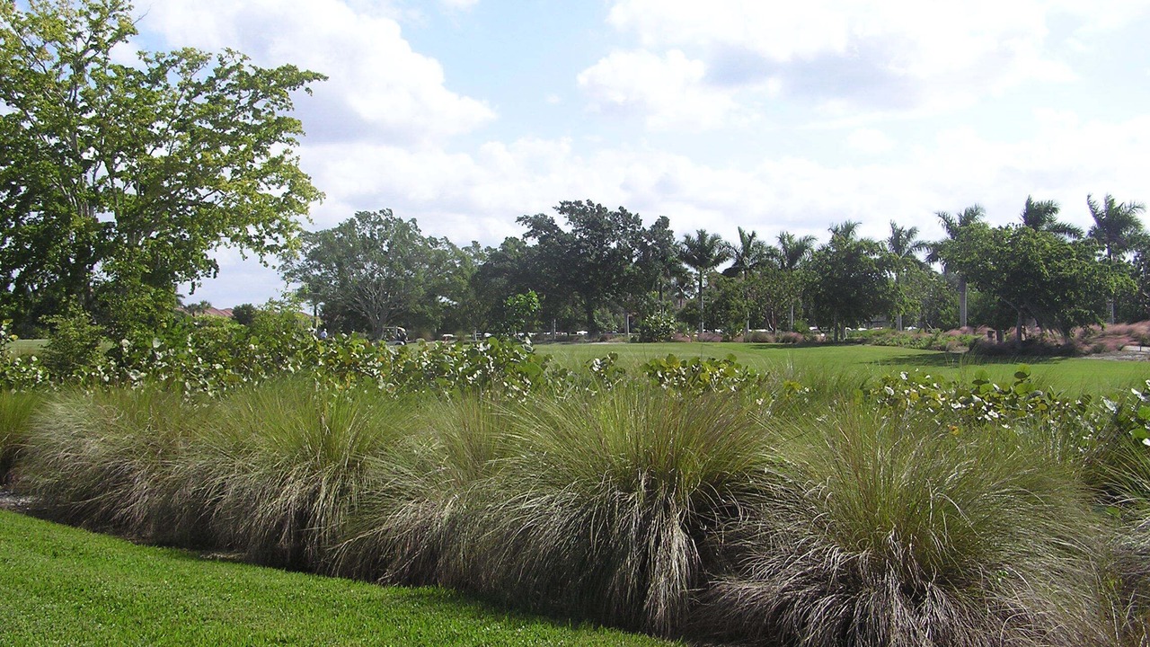 Photo of Others in Hammock Bay