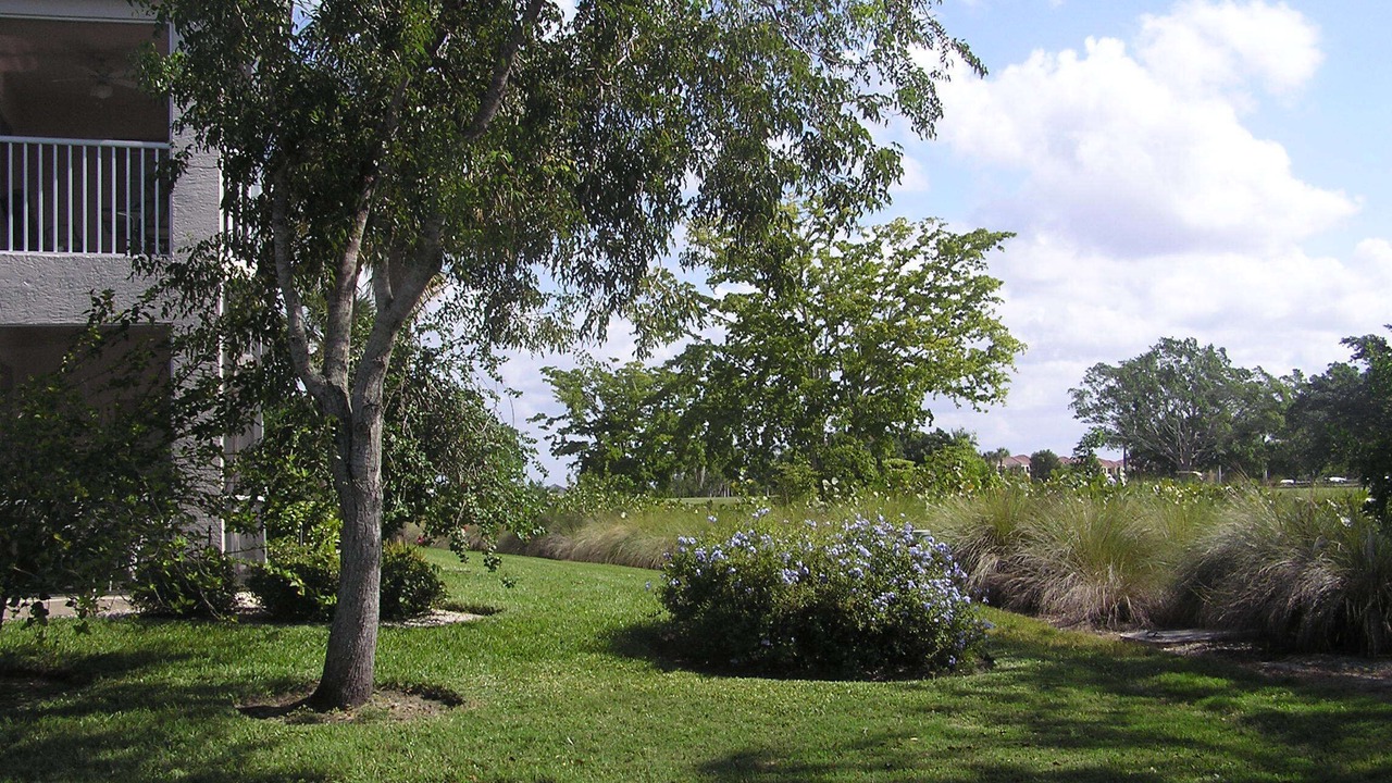 Photo of Others in Hammock Bay